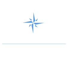 dems stacked logo for dark background